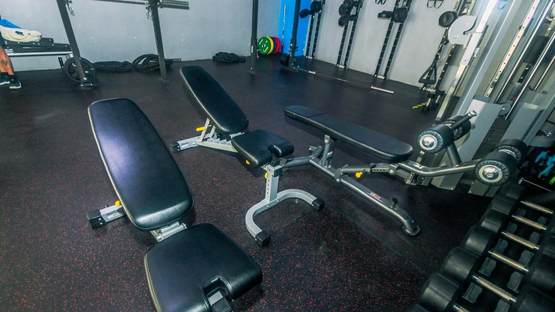 Apartment Canvas & Petals Blossoming Art Penthouse Gym Swim Park 5716 Manila