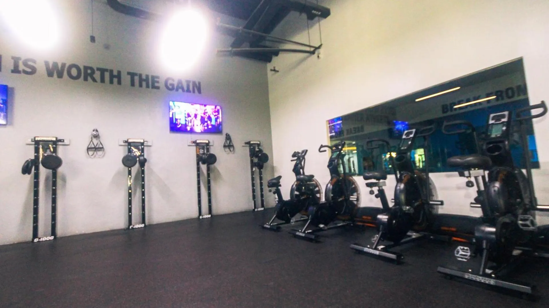 Canvas & Petals Blossoming Art Penthouse Gym Swim Park 5716 Manila